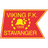 Escudo de Viking